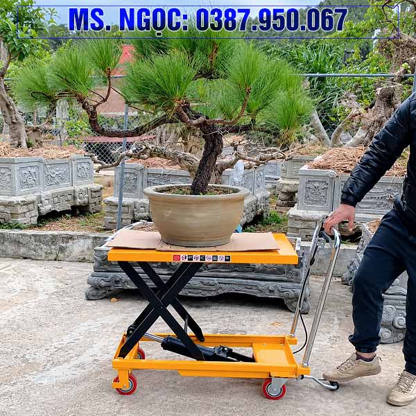 Bàn nâng cây cảnh 150kg